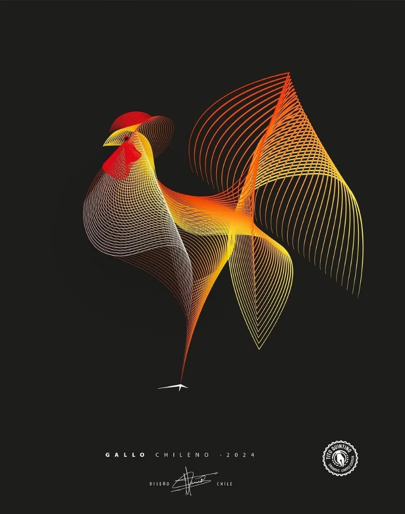 Gallo Vectorial